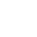 icon Strategic Plan